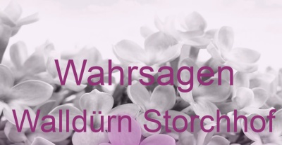 Wahrsagen Walldürn Storchhof | Top-Experten für Kartenlegen, Wahrsagen, Hellsehen, Zukunftsdeutung. Wahrsagen Walldürn Storchhof | Top-Experten für Kartenlegen, Wahrsagen, Hellsehen, Zukunftsdeutung.